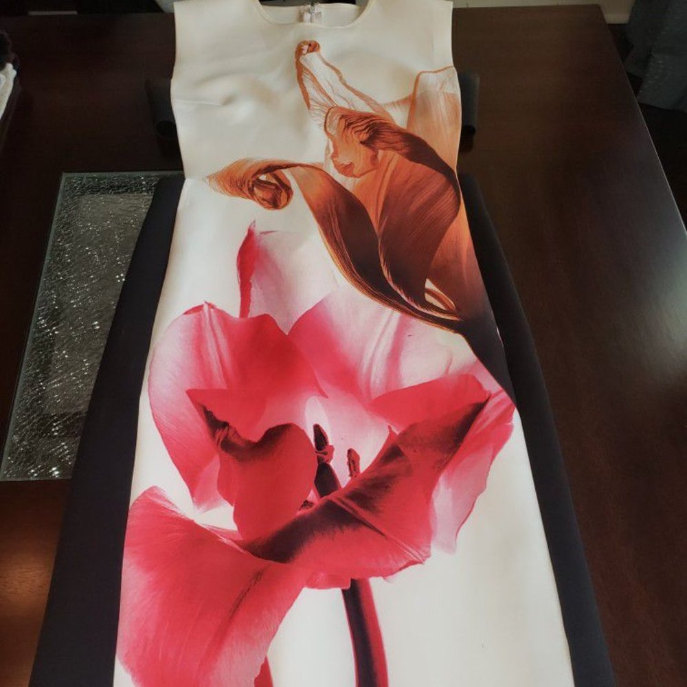 Clover Canon Long Dress size Medium